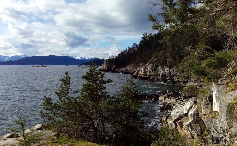 Alice Munro: Runaway