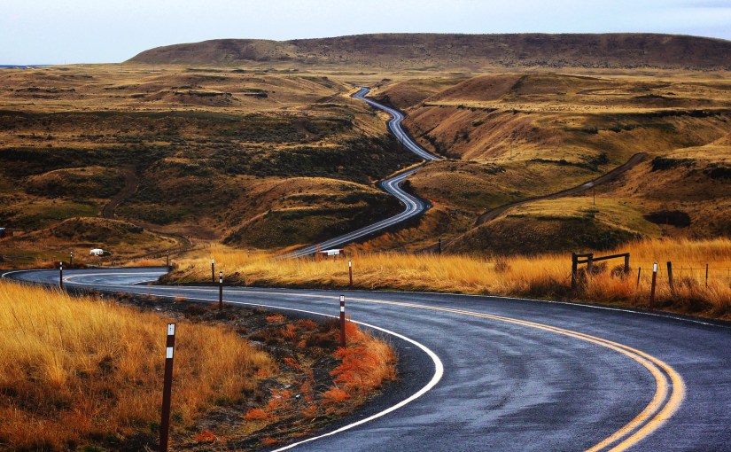 Sherman Alexie: The Absolutely True Diary of A Part-Time&nbsp;Indian